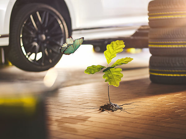 Da Vergölst als Reifen-/Autoserviceanbieter bzw. Mobilitätsdienstleister für Privat- und Firmenkunden aus eigener Sicht zum Klimawandel beiträgt, ist das Unternehmen bemüht, „etwas zurückzugeben und aktiv zur Erhaltung unserer Umwelt beizutragen sowie einen lebenswerten Raum für Tiere und Menschen zu schaffen“ (Bild: Vergölst)