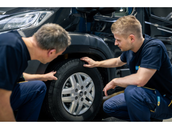 Bilstein defekte Stossdaempfer klein