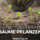 Nachhaltigkeitsmonat DF Automotive