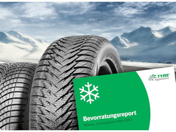 Bevorratungsreport klein