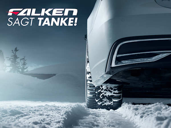 Falken sagt Tanke tb
