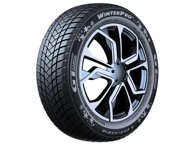 GT Radial WinterPro 2 Evo tb