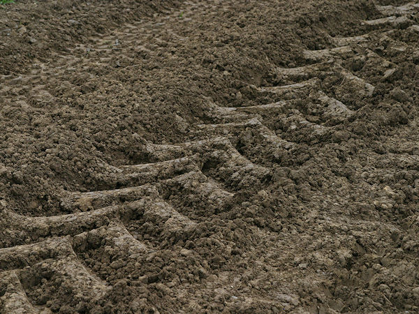 Bei dem zusätzlich ins BRV-Lehrgangsprogramm aufgenommenen Grundlagentraining wird sich am 12./13. Dezember einmal mehr alles um „Reifen und Räder in der Landwirtschaft“ drehen (Bild: NRZ/Christian Marx)
