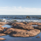 Hinter dem Kürzel BSAG steht die Baltic Sea Action Group – eine 2008 in Finnland mit dem Ziel gegründete gemeinnützige Stiftung, das ökologische Gleichgewicht der Ostsee unter veränderten Klimabedingungen wiederherzustellen (Bild: Nokian Tyres)