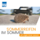 BRV Flyer Internet