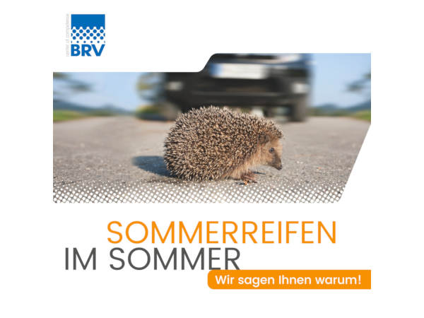 BRV Flyer Internet