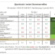 Sportauto-Sommerreifentest