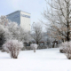 Michelin Olsztyn tb
