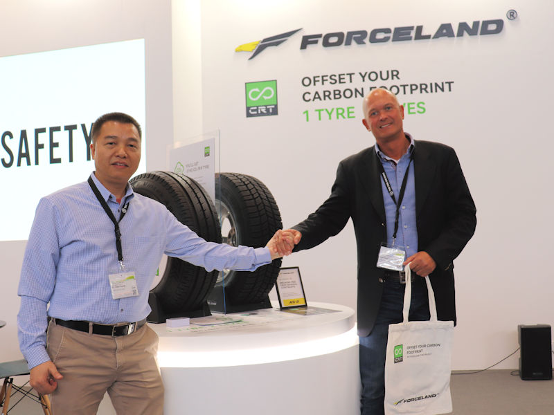 Forceland Hinghaus tb