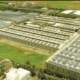 JK Tyre Web