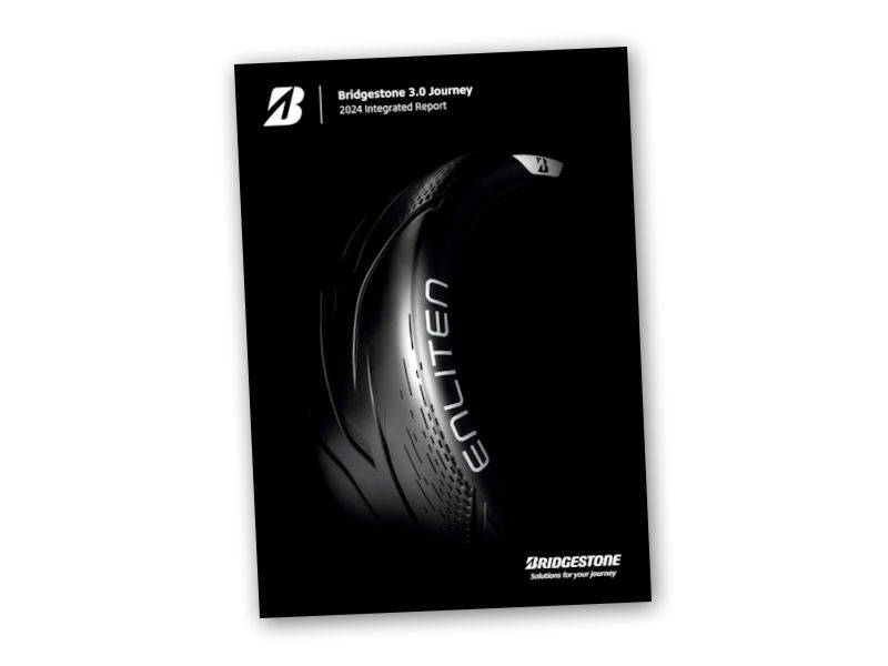 BS Integrated Report tb
