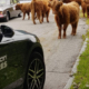 Nokian Tyres ISCC