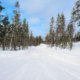Nokian EcoVadis