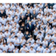 Schaeffler Ausbildung Web