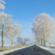 Winterlandschaft Web