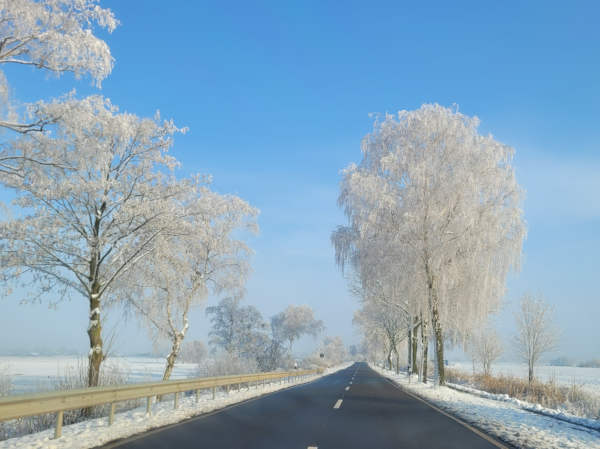 Winterlandschaft Web