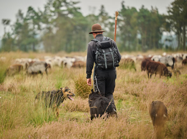 Vergoelst Lueneburger Heide Web