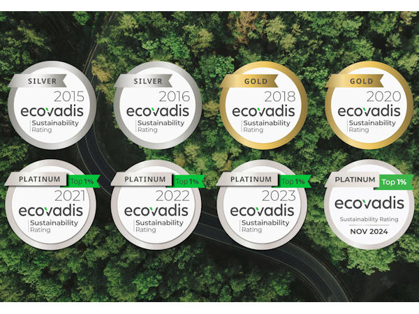 Bridgeston Ecovadis Web