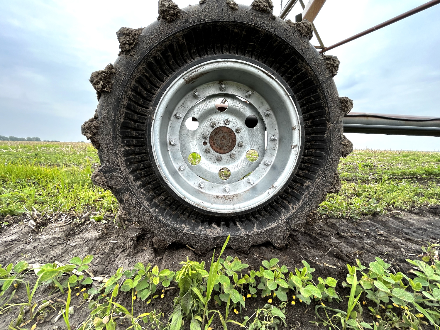 irritrak christine irritrak christine